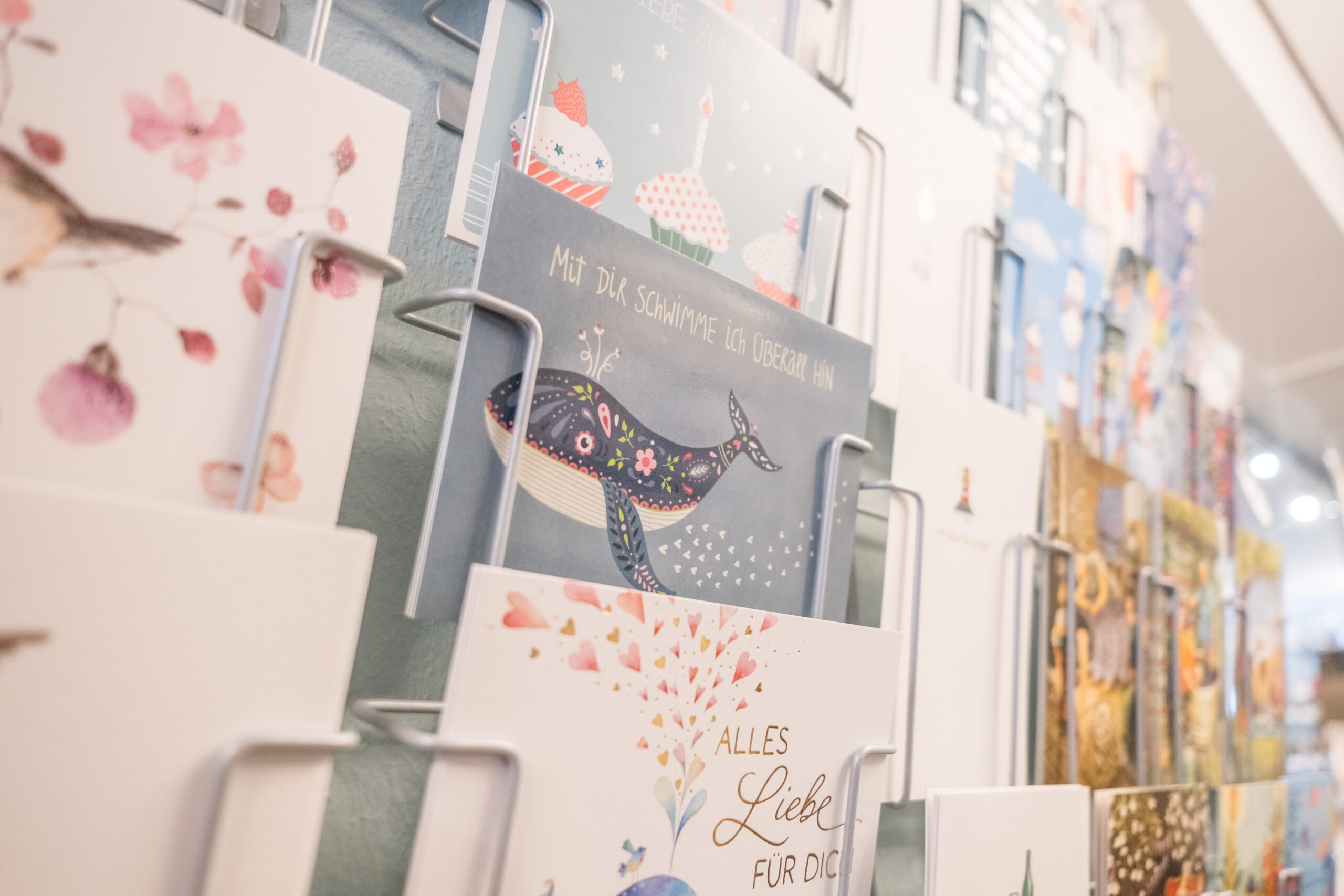 Flyer drucken lassen Schleswig